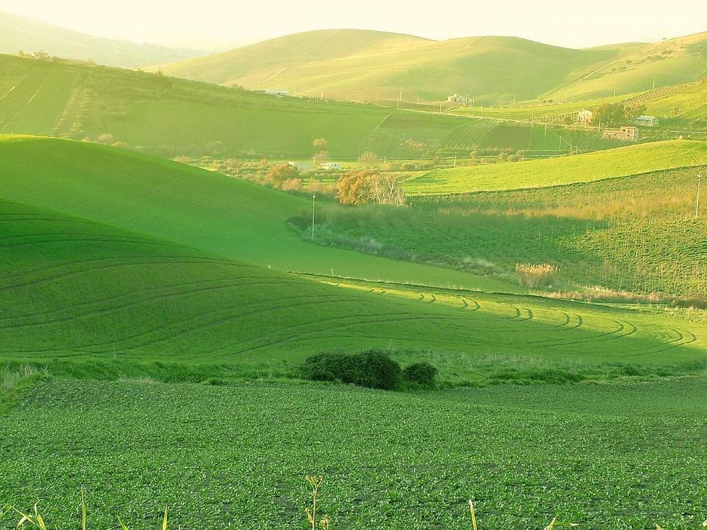 Agriturismo Ridocco Corleone Exteriör bild